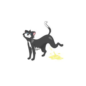 Cat Spray Stop – The Proven Method to End Cat Spraying Forever