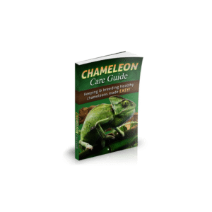 Chameleon Care Guide – Complete Pet Care Manual