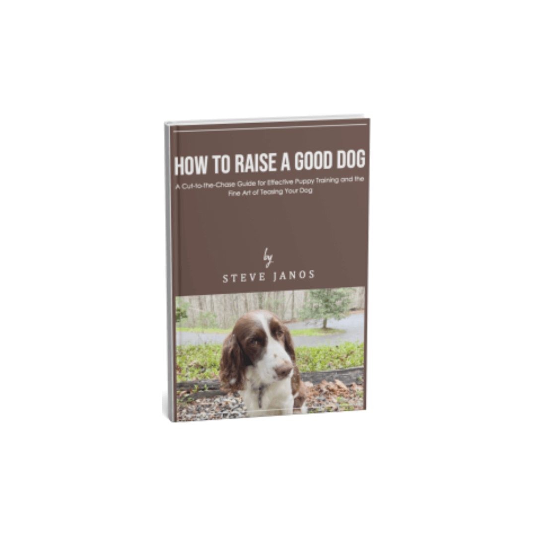 How to Raise a Good Dog Guide